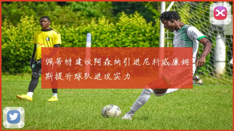 佩蒂特建议阿森纳引进尼科威廉姆斯提升球队进攻实力