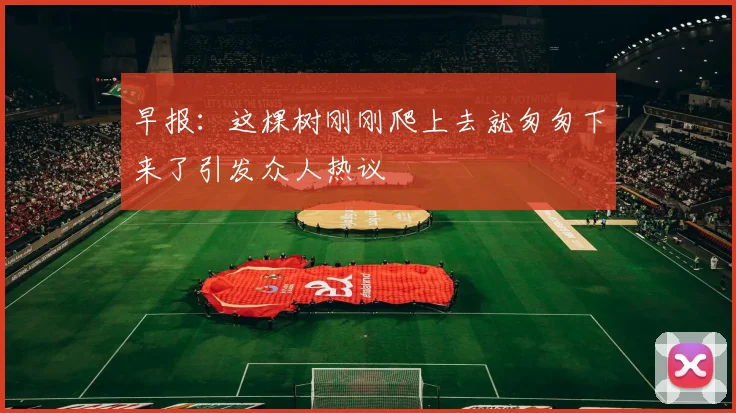 早报：这棵树刚刚爬上去就匆匆下来了引发众人热议