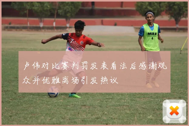卢伟对比赛判罚发表看法后感谢观众并优雅离场引发热议